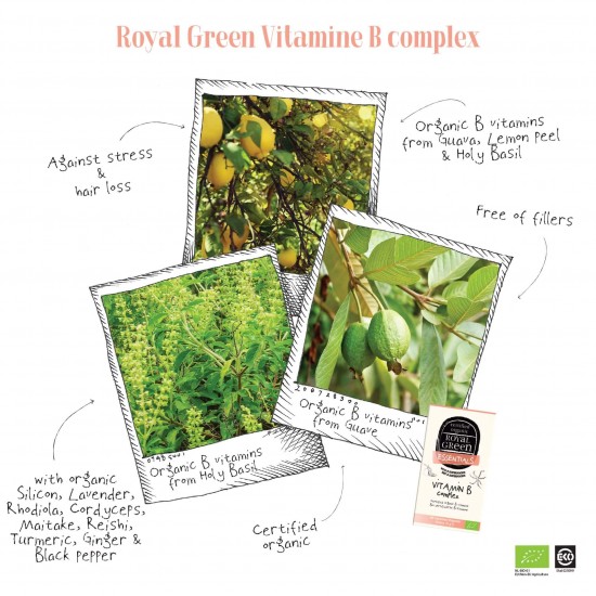 Royal Green Vitaminų B kompleksas (odai, plaukams, nagams) BIO, 60 kaps.